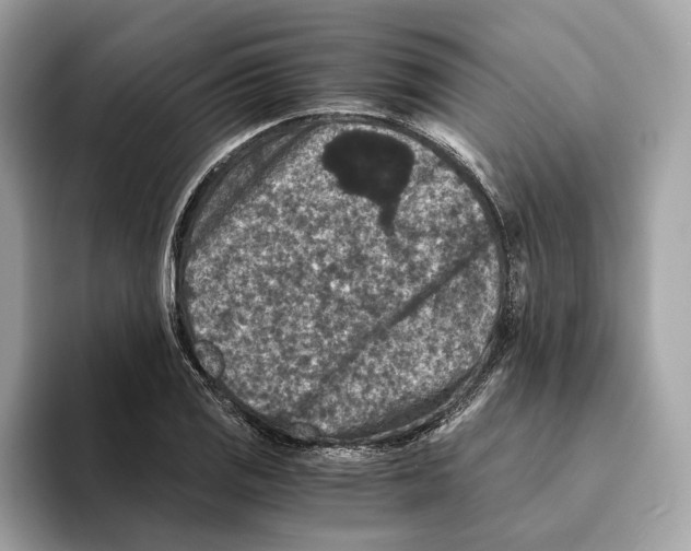 X0000095541125200801111428