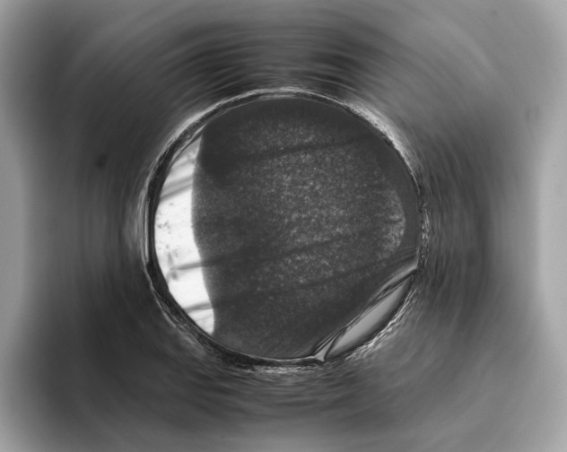 X0000095541127200801111428