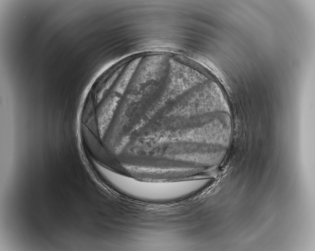 X0000095541128200801111428