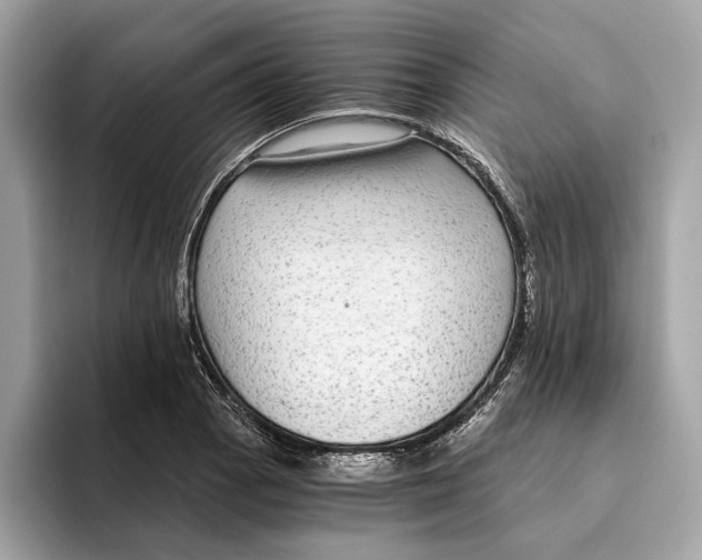 X0000095541129200801111428