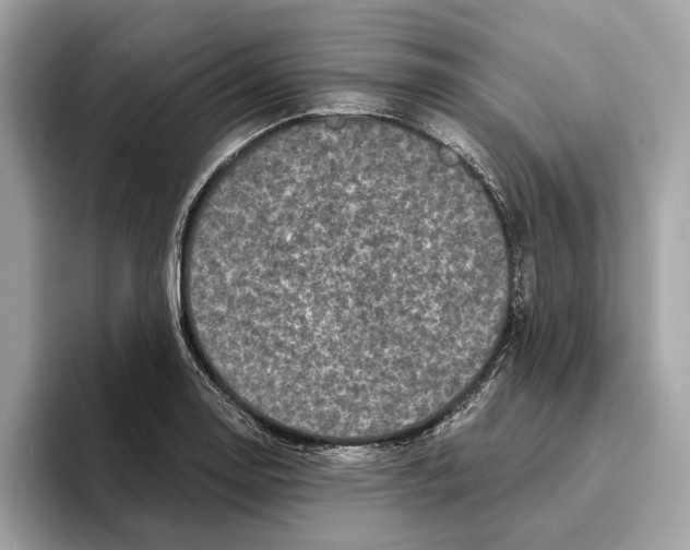 X0000095541130200801111428