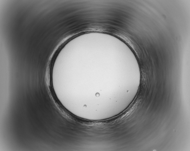 X0000095541131200801111428