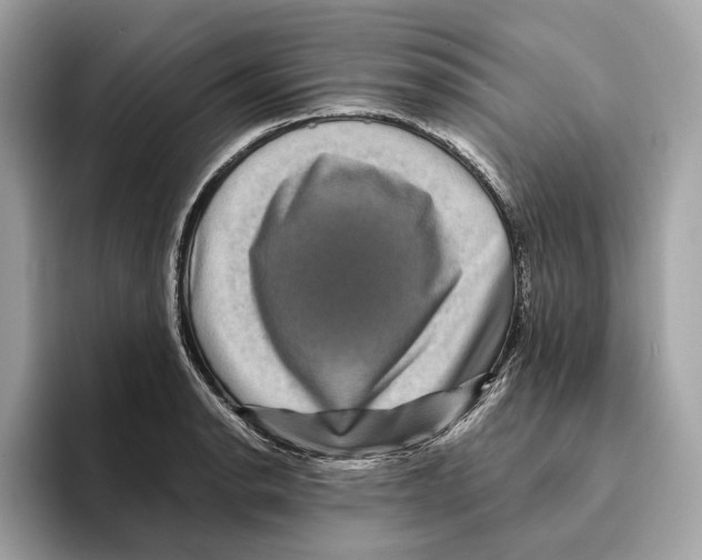 X0000095541134200801111428