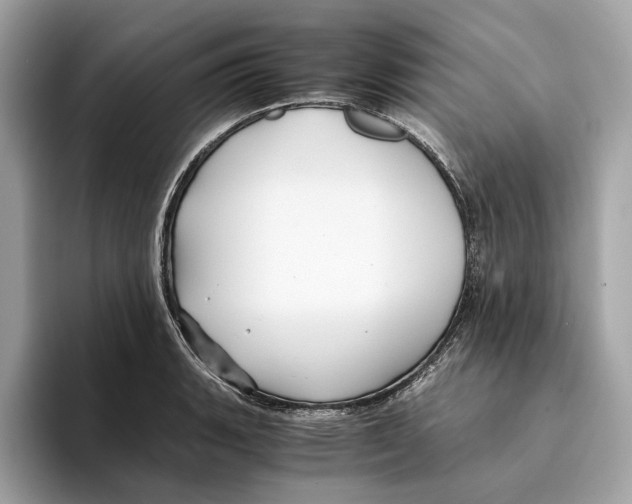 X0000095541135200801111428