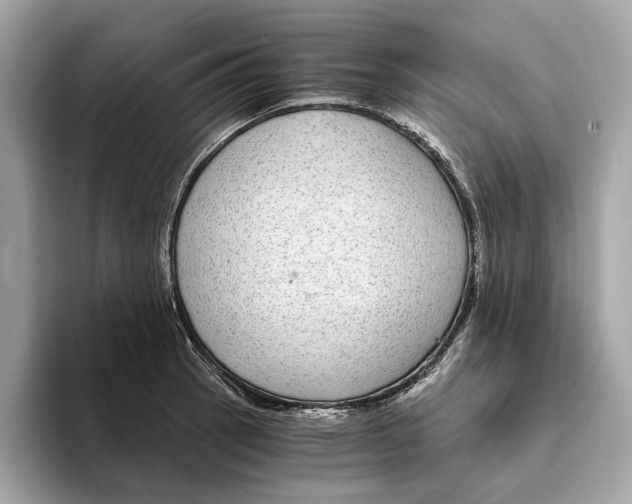 X0000095541137200801111428