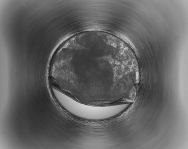 X0000095541138200801111428