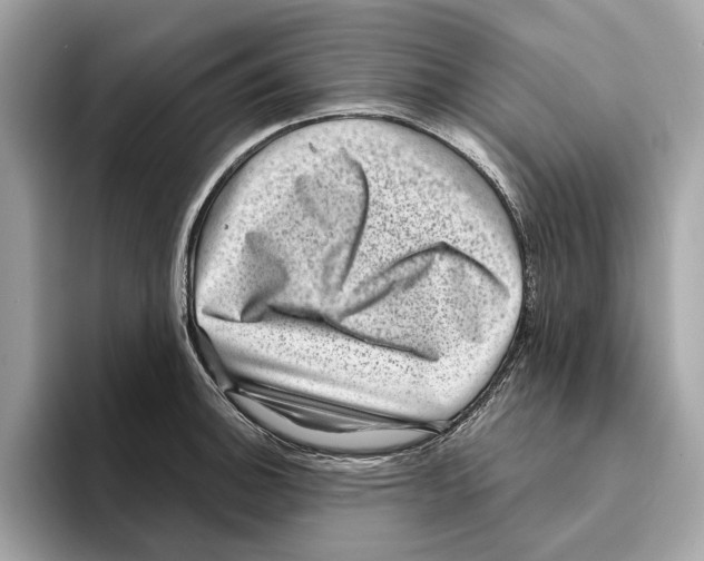 X0000095541140200801111428