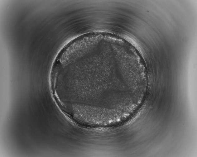 X0000095541141200801111428