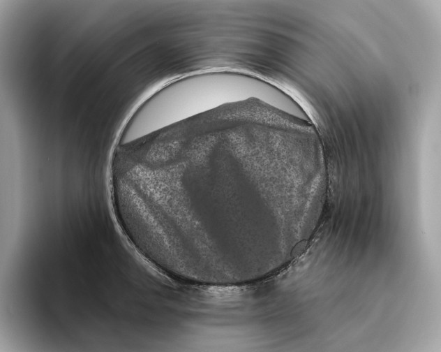 X0000095541142200801111428