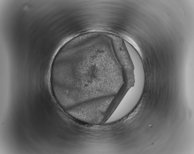 X0000095541146200801111428