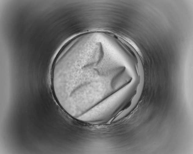 X0000095541148200801111428