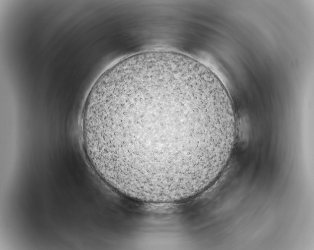 X0000095541150200801111428