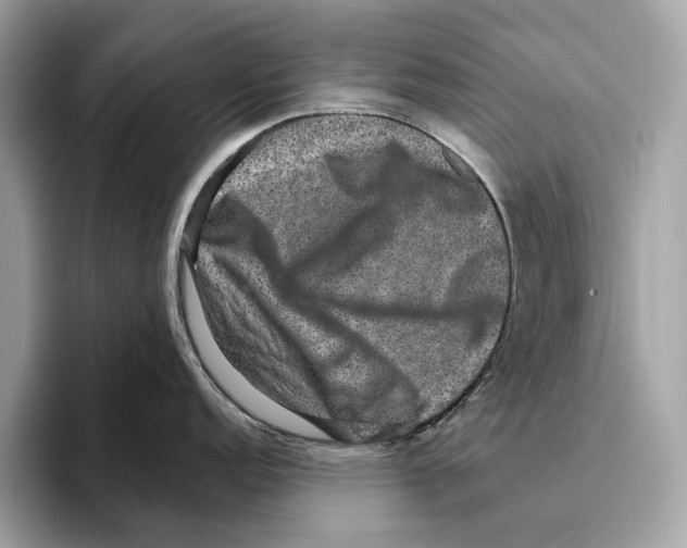 X0000095541152200801111428