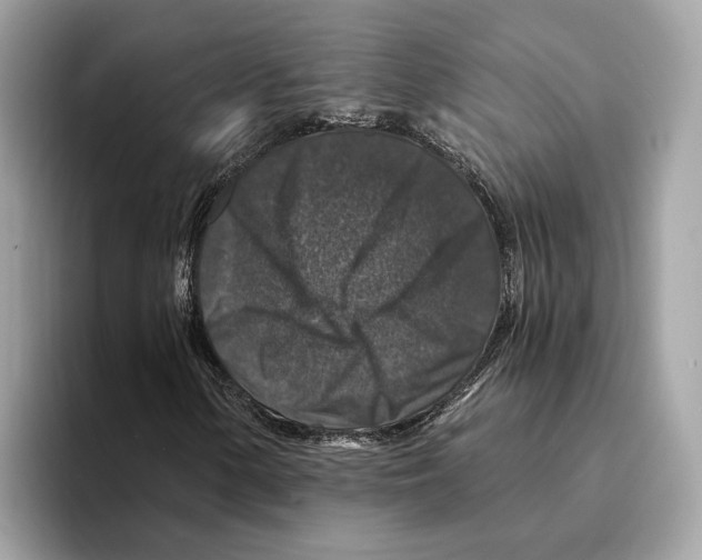 X0000095541154200801111427