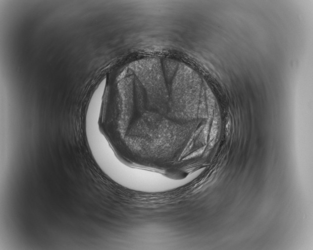 X0000095541156200801111427