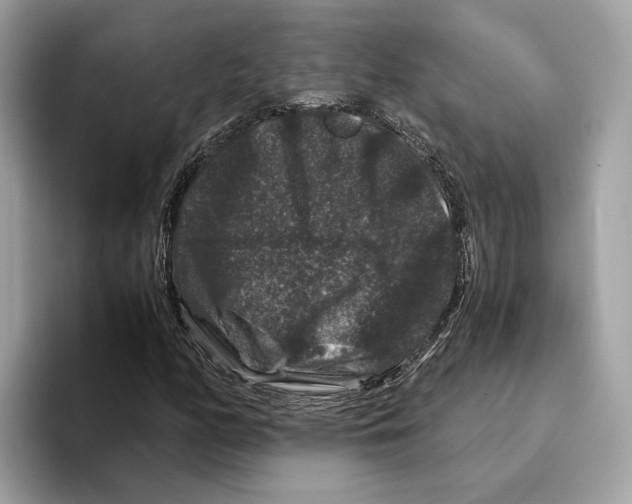 X0000095541158200801111427