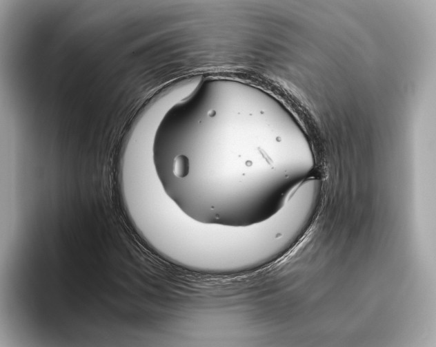 X0000095541161200801111427