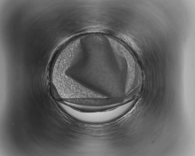 X0000095541164200801111427