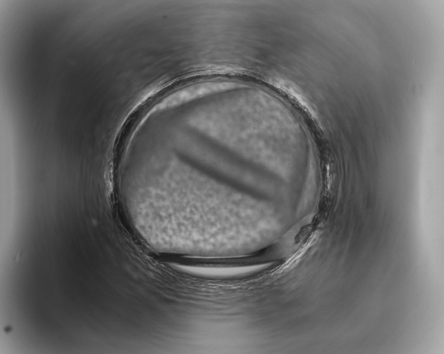 X0000095541165200801111427