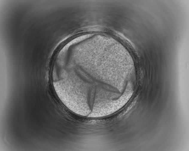 X0000095541166200801111427