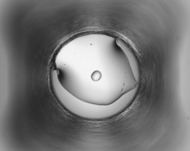 X0000095541168200801111427