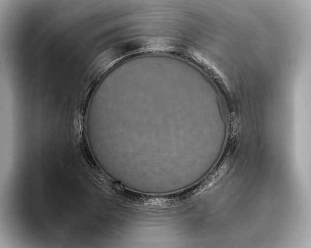 X0000095541169200801111427