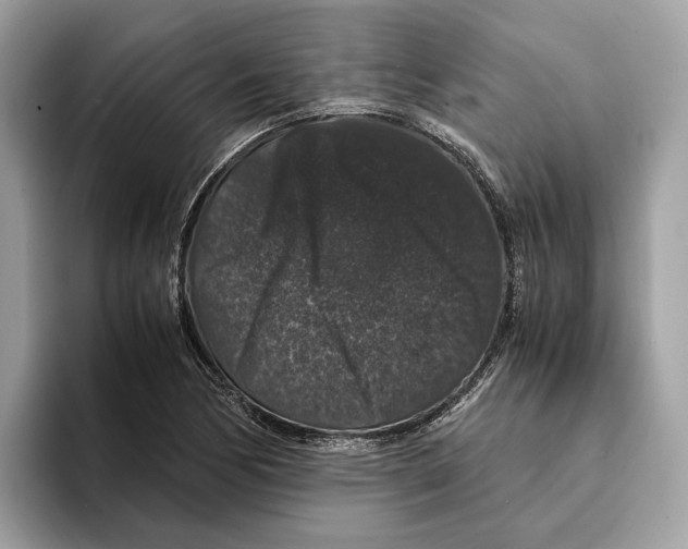 X0000095541170200801111427