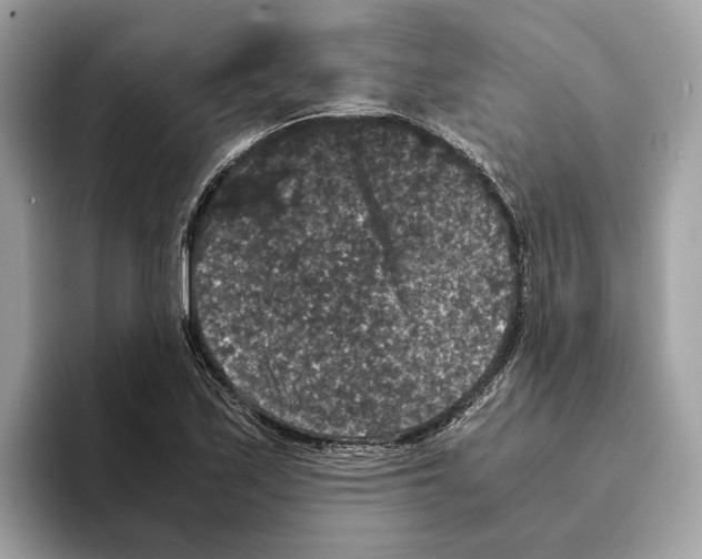 X0000095541171200801111427