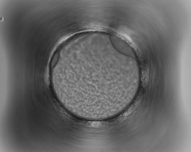 X0000095541172200801111427