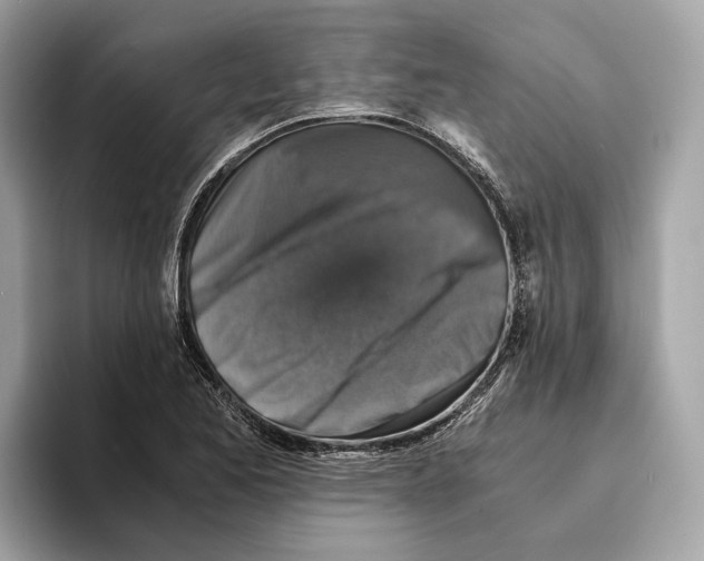 X0000095541173200801111427