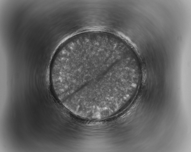 X0000095541174200801111427