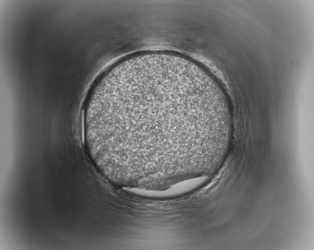 X0000095541175200801111427