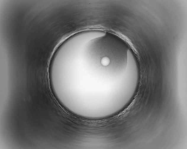 X0000095541176200801111427