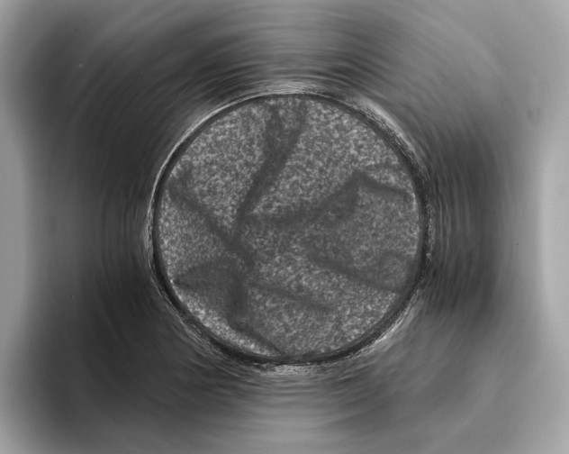 X0000095541178200801111427