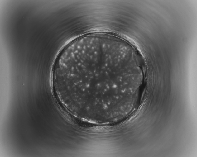 X0000095541179200801111427