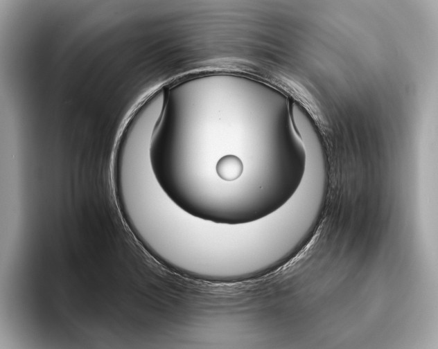 X0000095541180200801111427