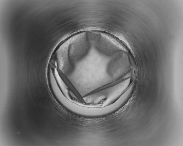 X0000095541181200801111427