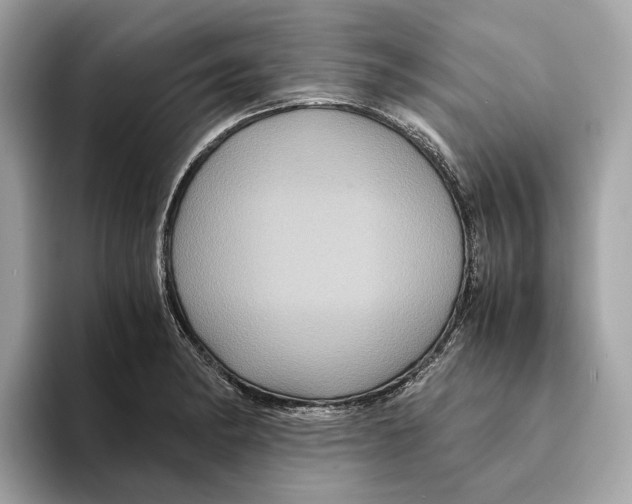 X0000095541182200801111427