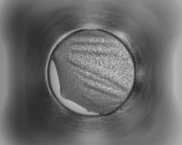 X0000095541183200801111427