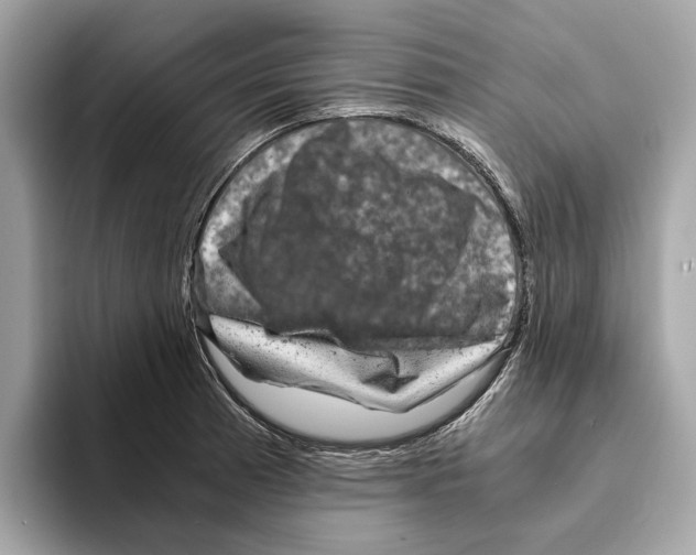 X0000095541185200801111427