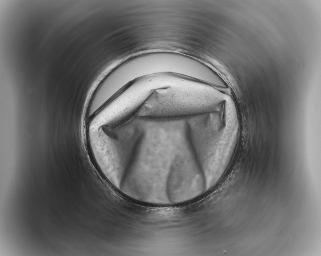 X0000095541188200801111427