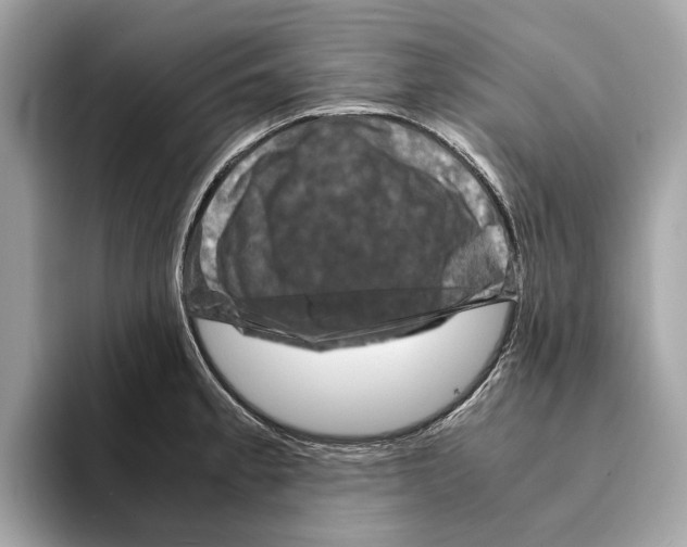 X0000095541189200801111427