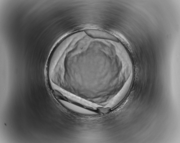 X0000095541190200801111427