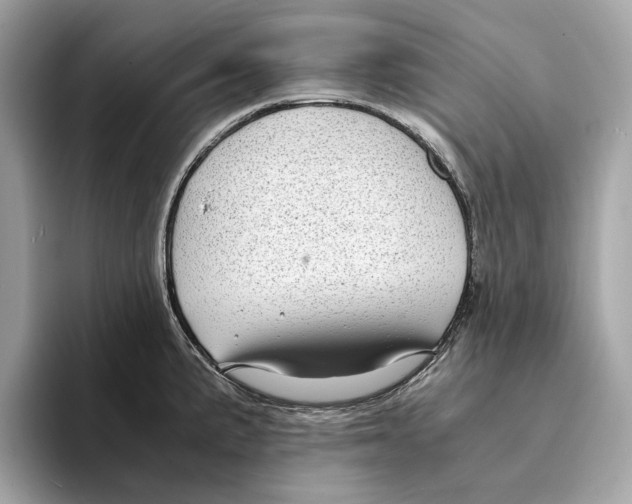 X0000095541191200801111427