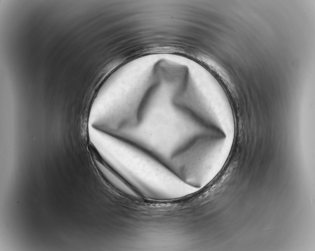 X0000095541193200801111427