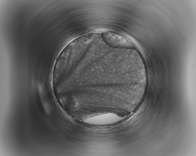 X0000095541194200801111427