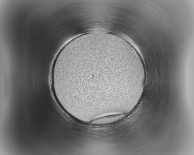 X0000095541195200801111427