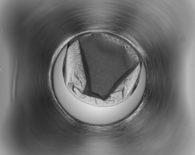 X0000095541196200801111427