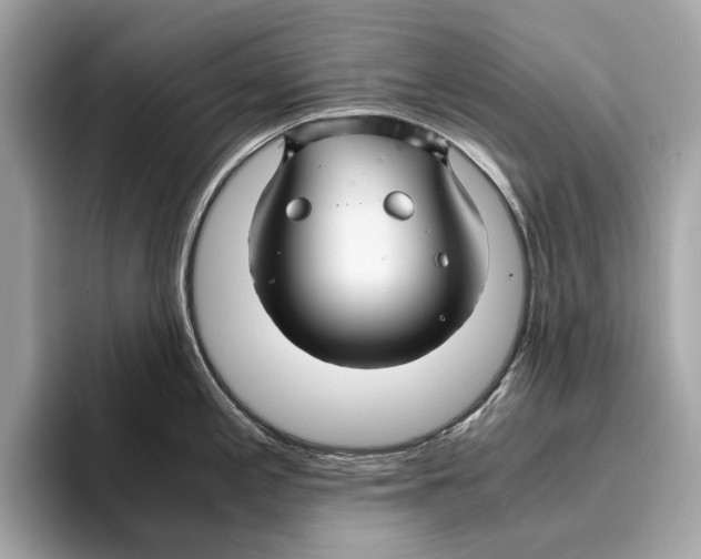 X0000095541197200801111427