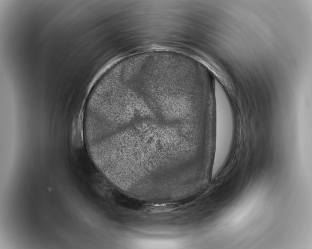 X0000095541198200801111427